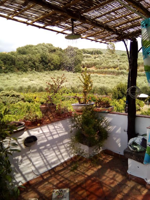 Masseria Sparano Villa Battipaglia Kültér fotó